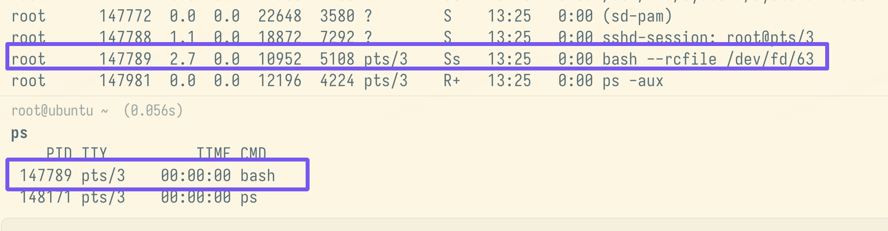 warpify-bash-process